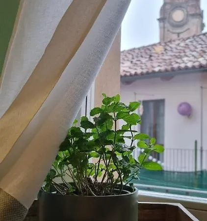 Rebel House * Alba (Piedmont)