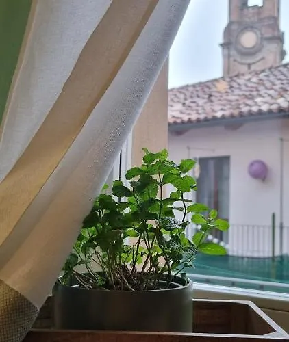 Rebel House * Alba (Piedmont)